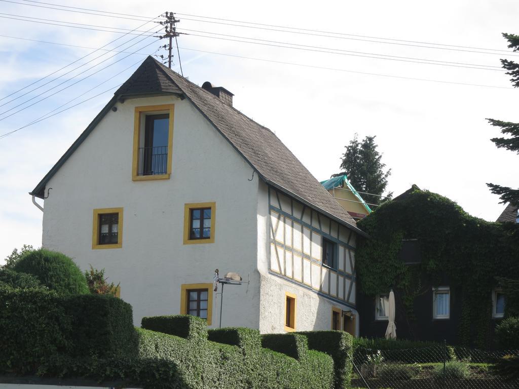 Ferienwohnungen Haus Hinneres Schalkenmehren Dış mekan fotoğraf
